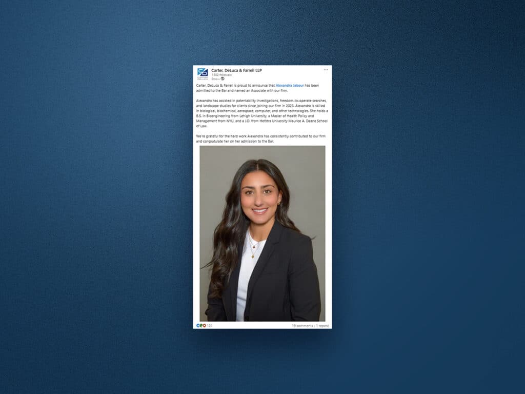 attorney-lawfirm-marketing-case-study-3